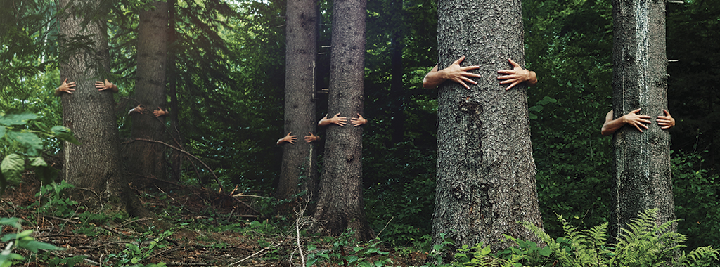 Tree Huggers Photo